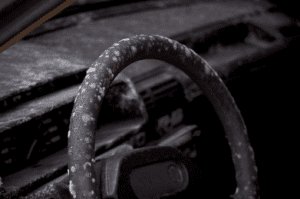 Mold on Steering Wheel