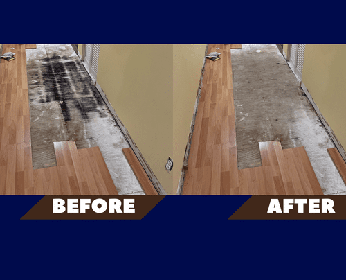 Mold remediation residential