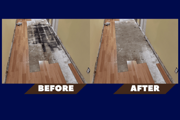 Mold remediation residential