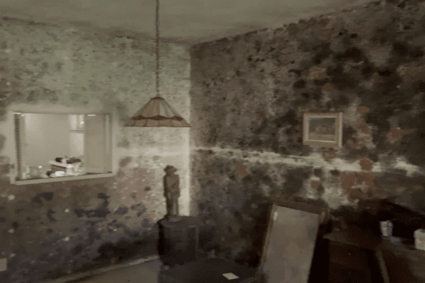 Mold remediation contractors Florida