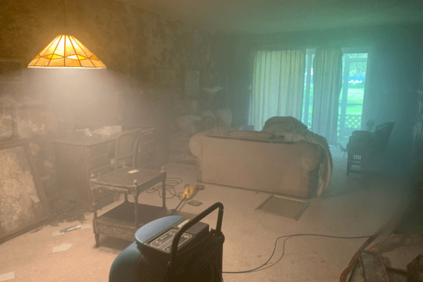 Commercial mold remediation services FL