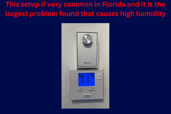 Best commercial mold remediation services FL