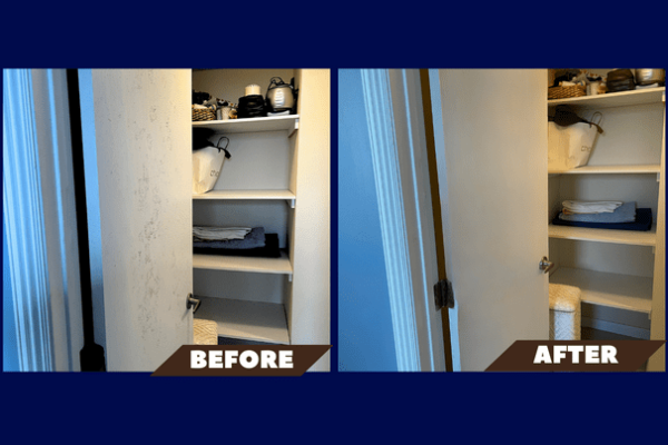 Mold in kitchen remediator or plumber