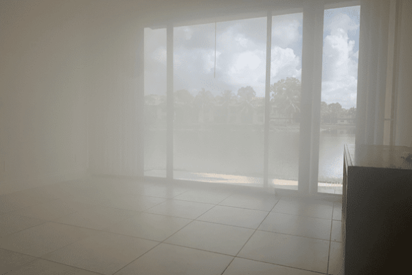 Black mold from roof leak