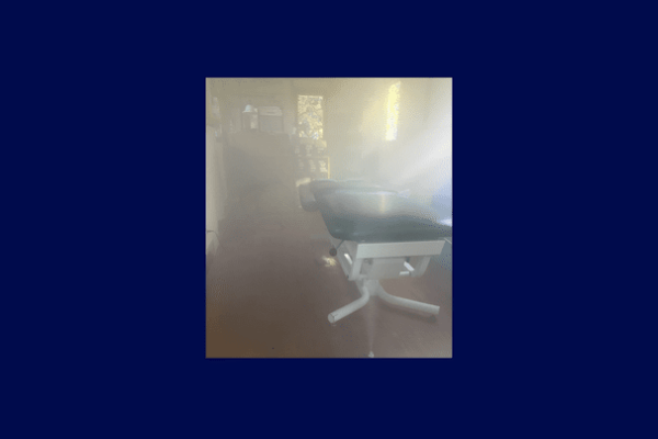 Black mold from roof leak