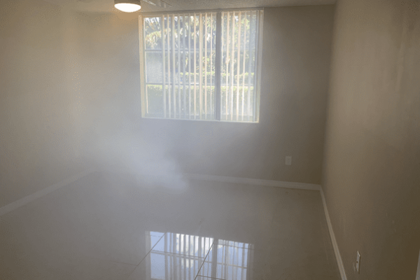 Affordable mold removal services Florida
