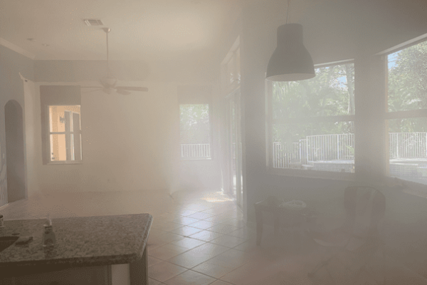 Affordable mold removal Florida