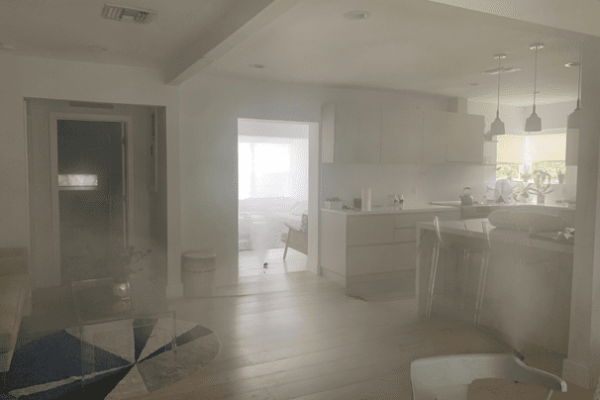 Mold remediation companies in Florida