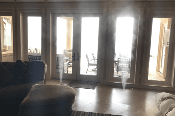 Mold remediation Clearwater