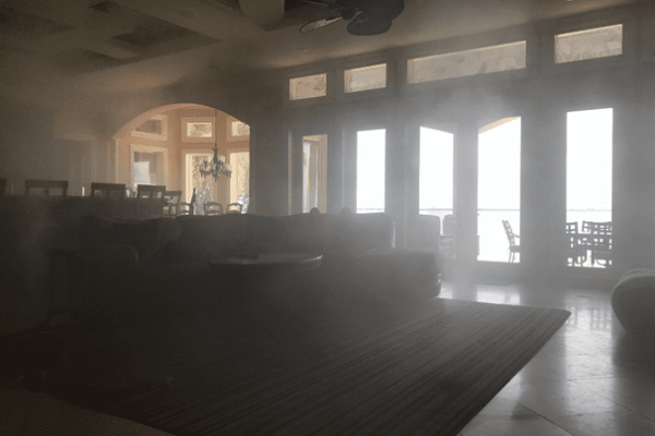 Mold remediation for cars