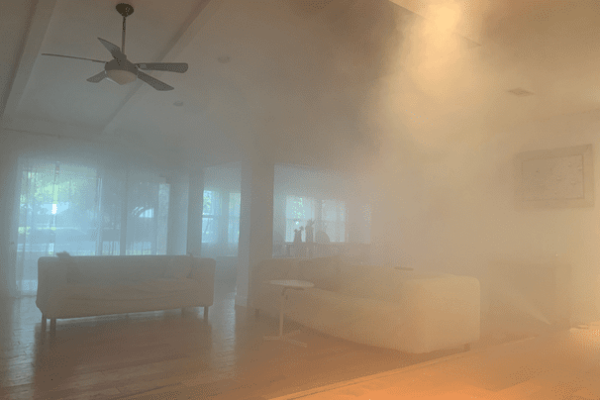 Black mold from roof leak