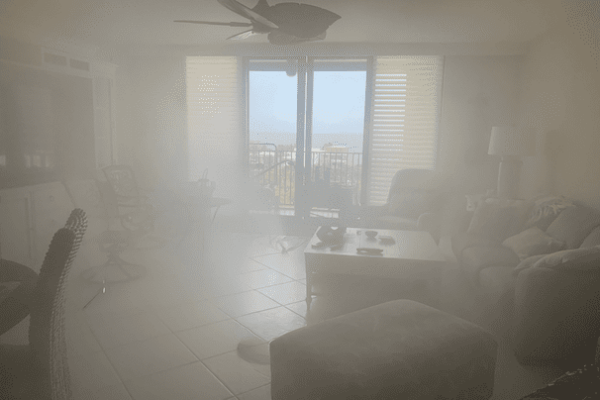 Mold remediation services FL