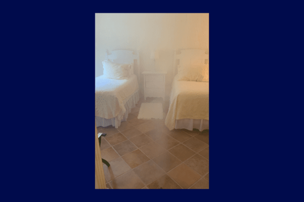 Roof leak mold remediation