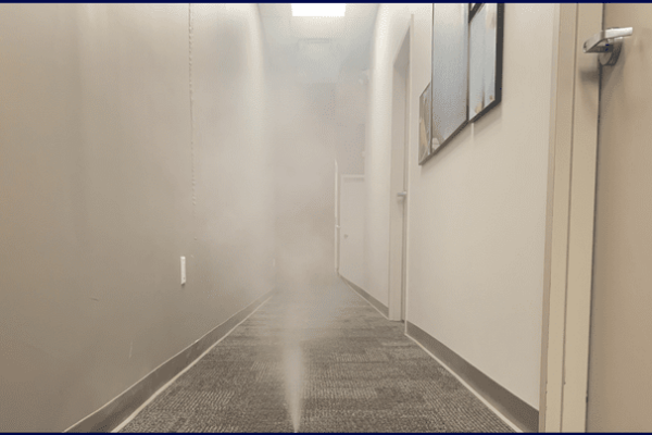mold remediation