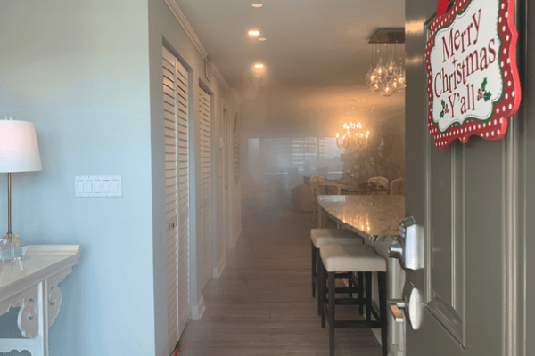 Mold cleanup services in Florida