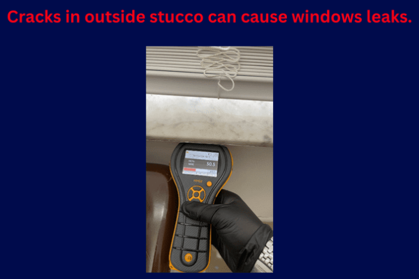 Property damage mold remediation