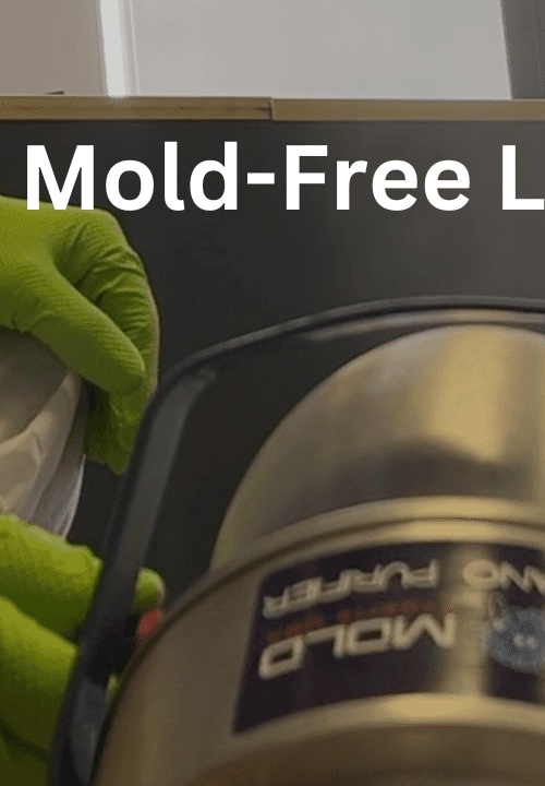 Residential mold remediation FL