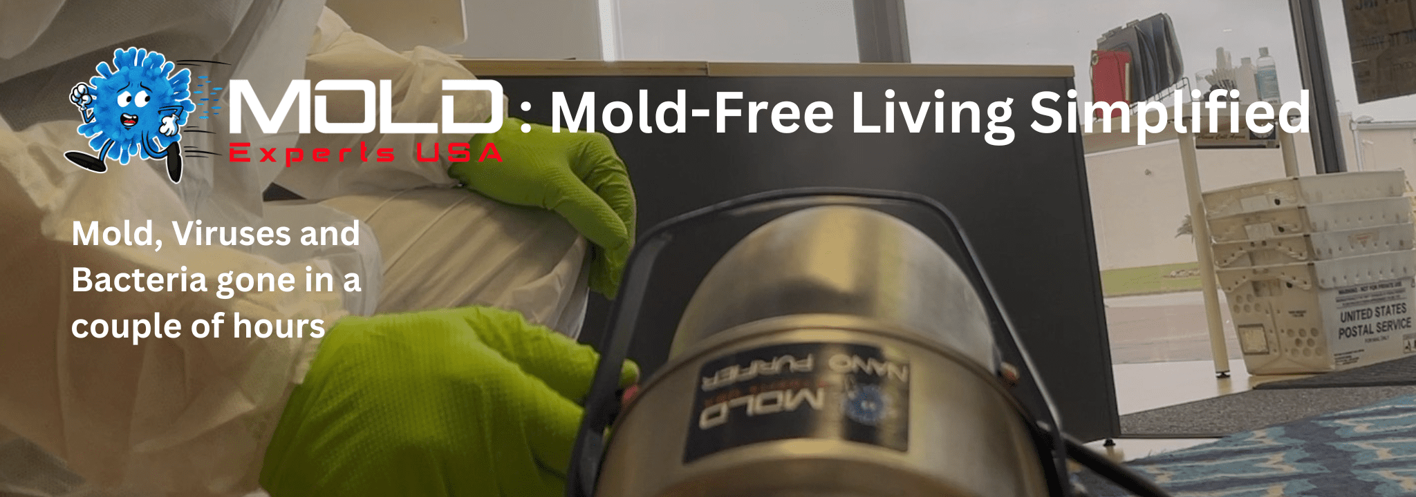 Residential mold remediation FL