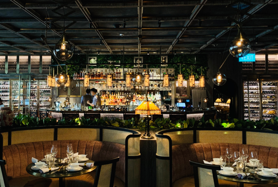 Best mold remediation contractors