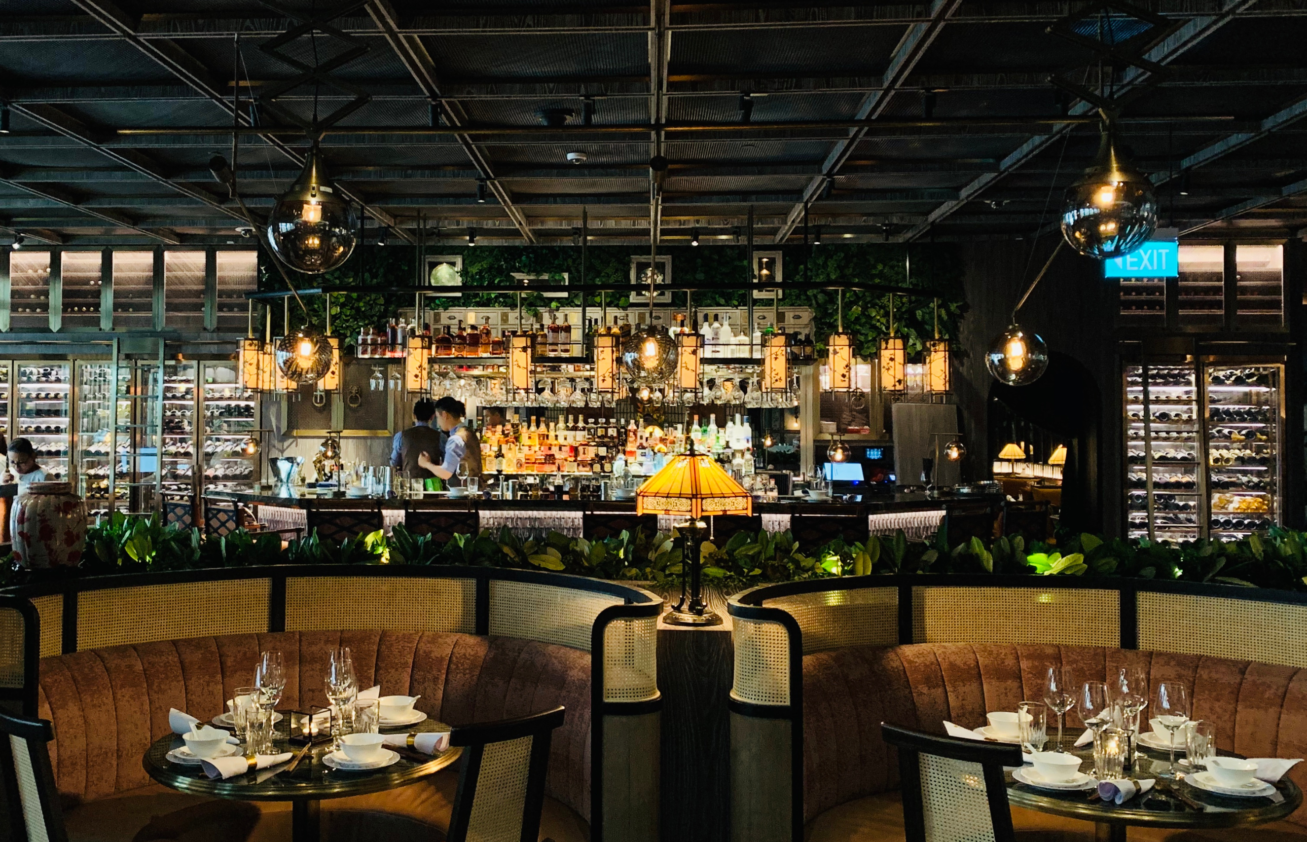 Best mold remediation contractors