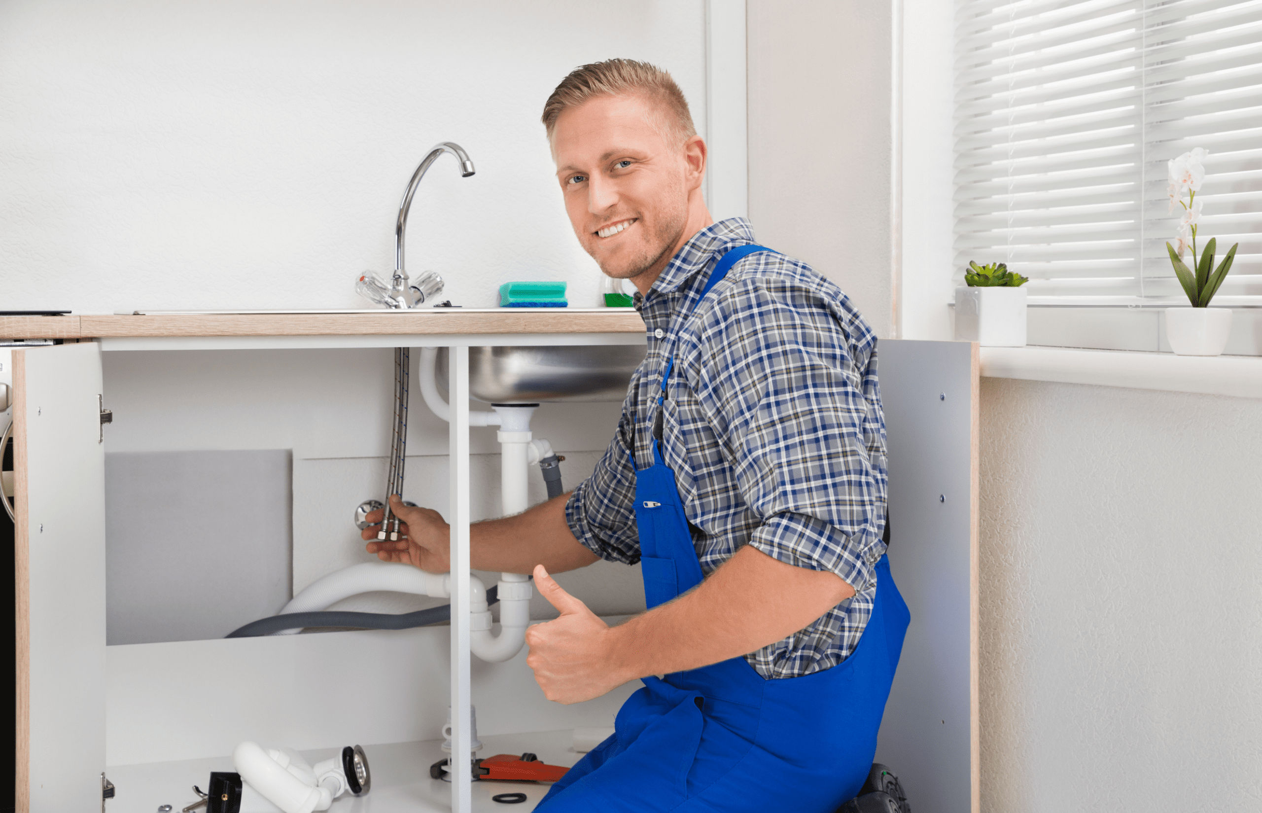 Mold remediation for plumbers