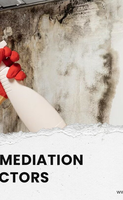 mold remediation Clearwater