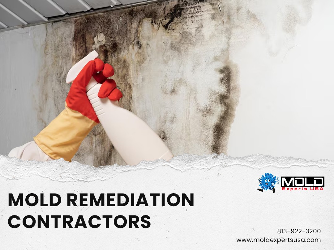 mold remediation Clearwater