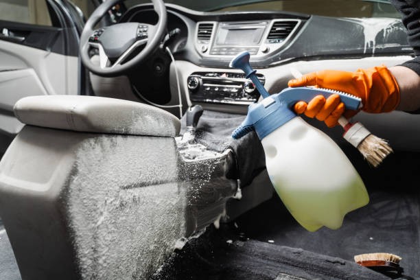 Mold remediation for cars