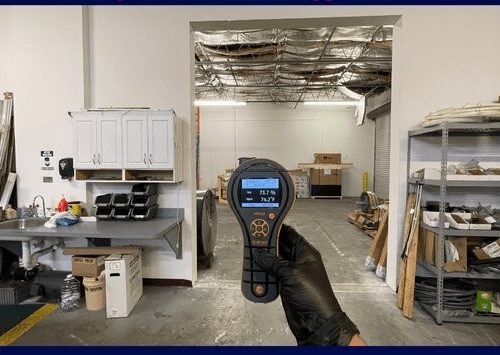 Commercial building mold remediation services FL