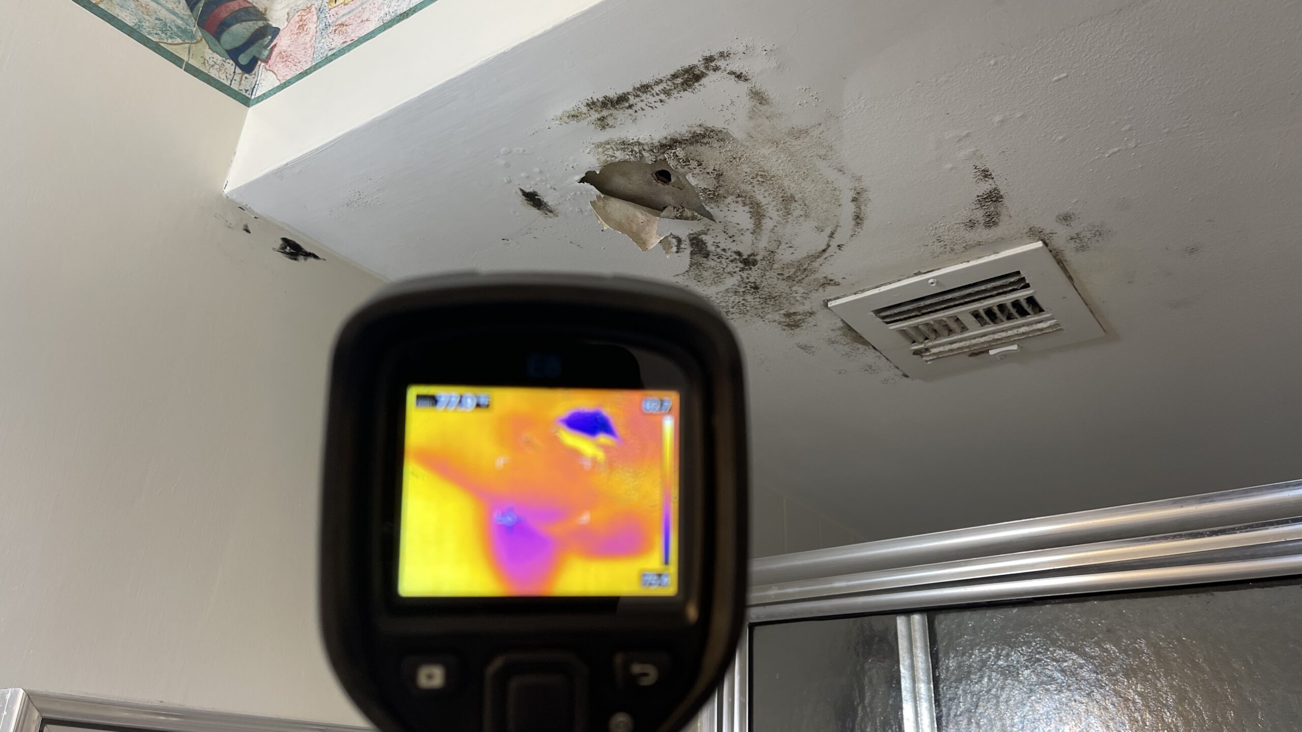 Water Leak in a Tampa, Fl Condo