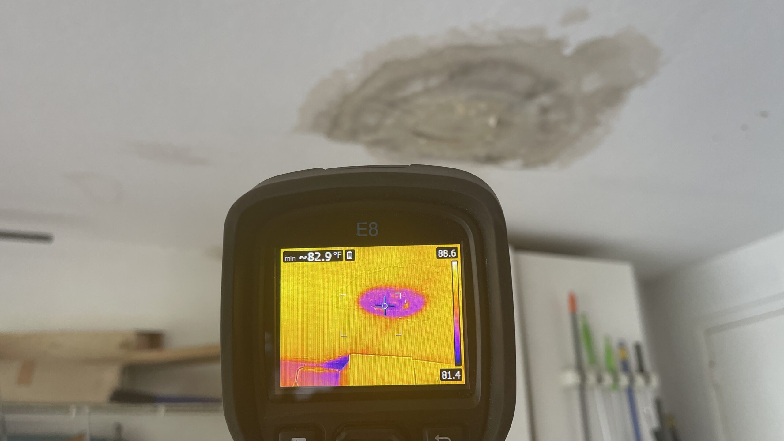 Water and mold Sarasota Fl