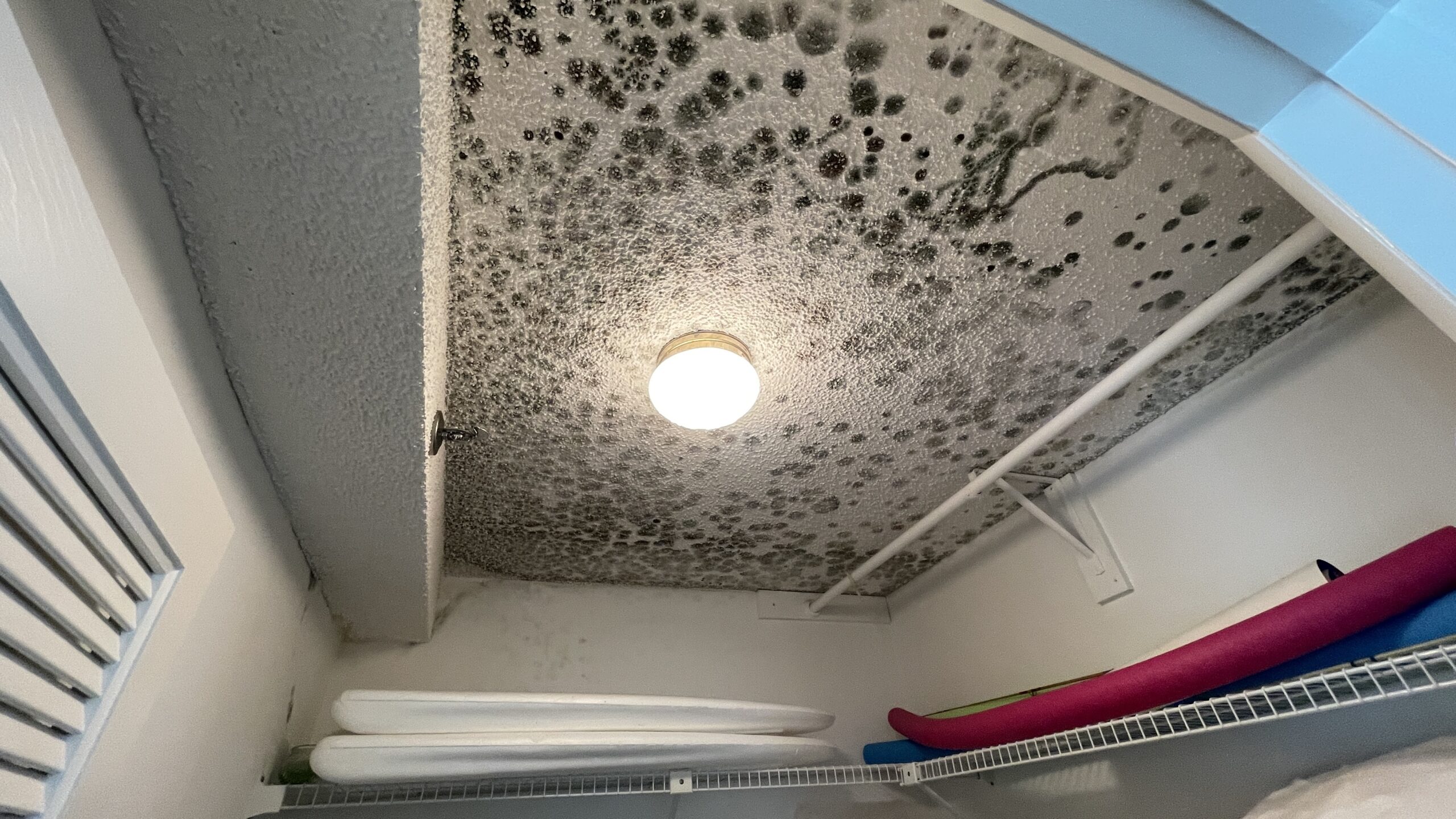 Mold In closet in Fl