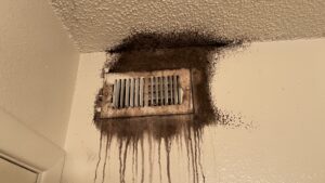 Moldy Vent in St. Petersburg Fl.