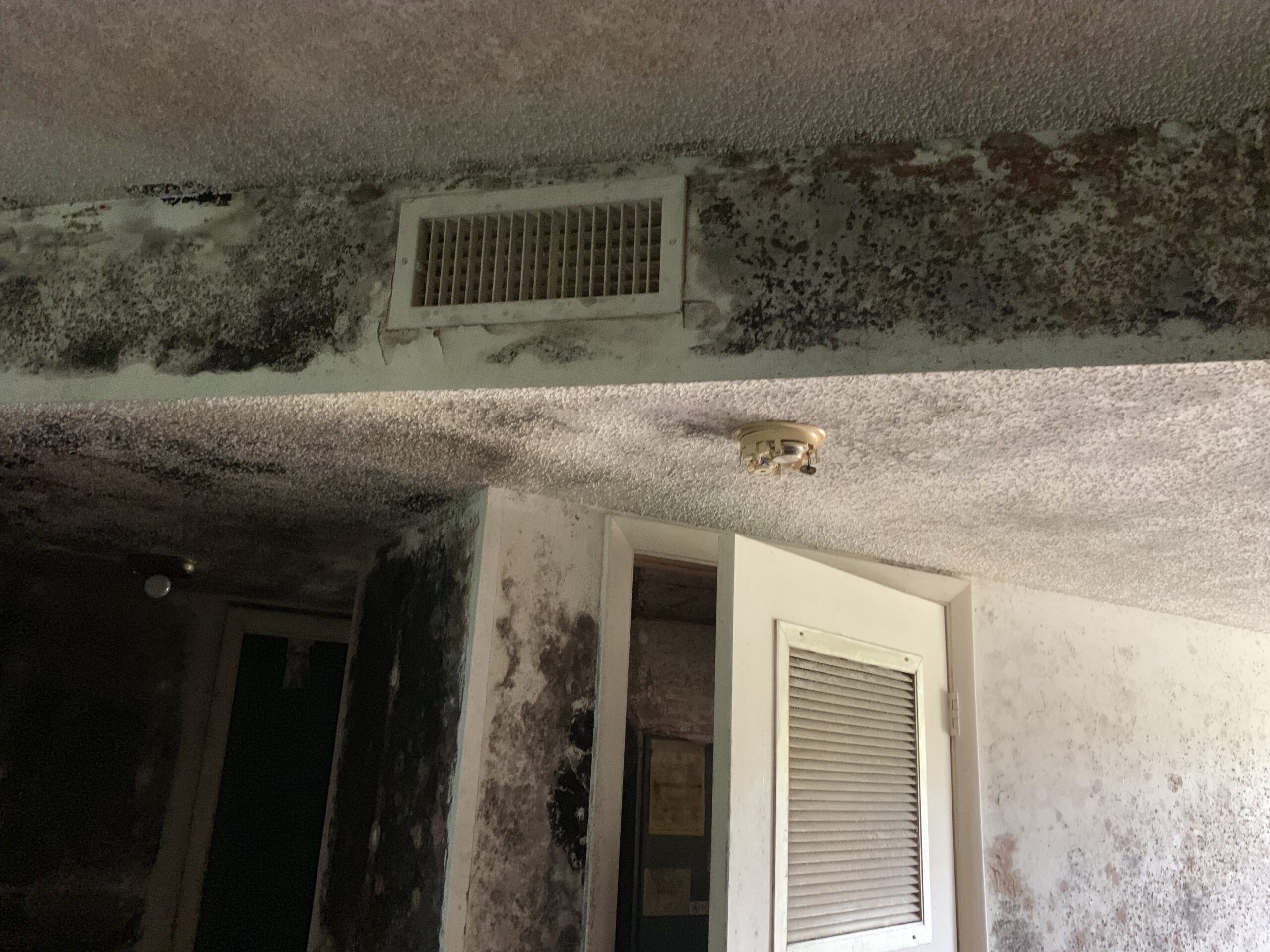 Mold In Property for sale