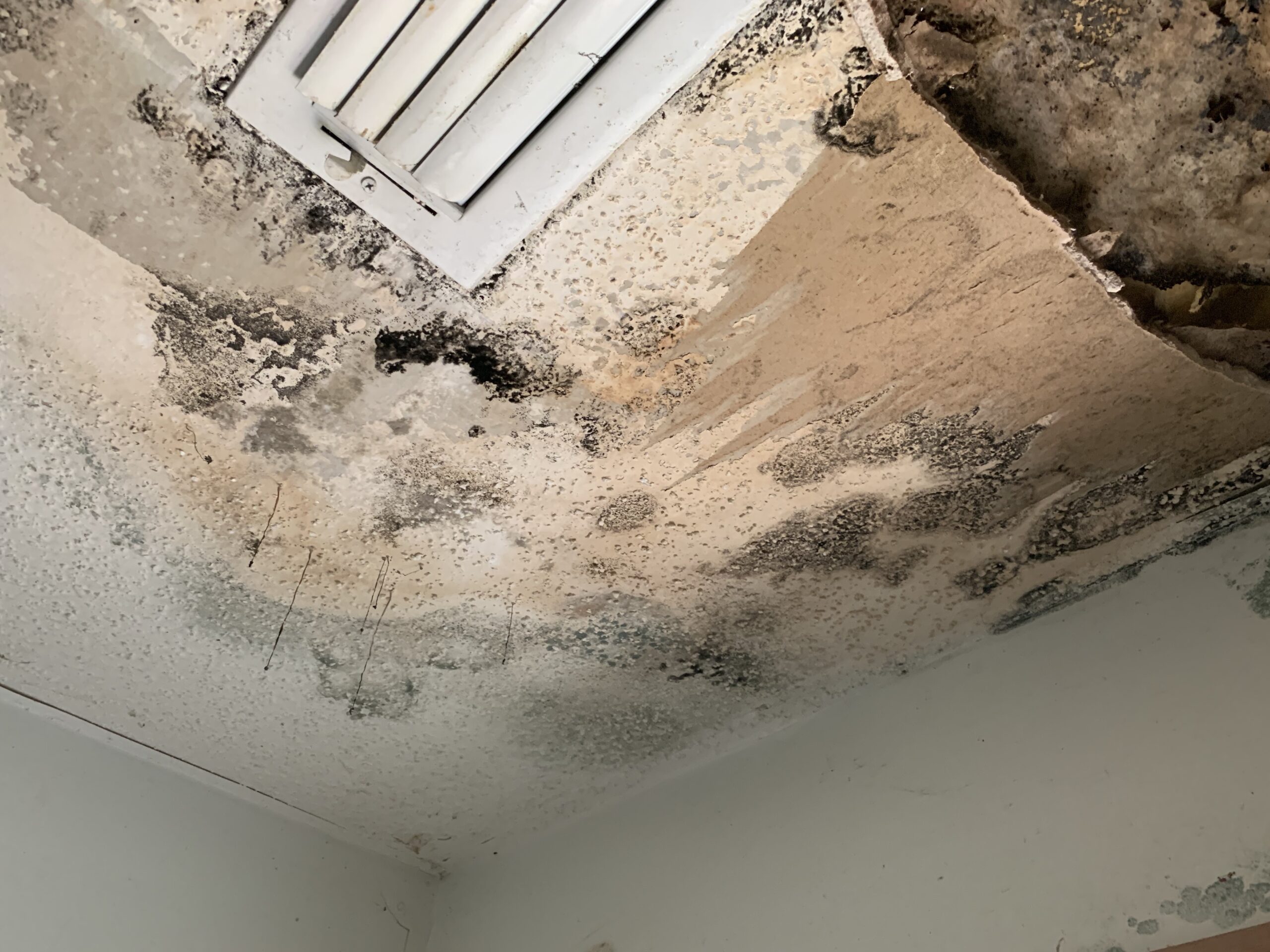 Water Leak in Ceiling