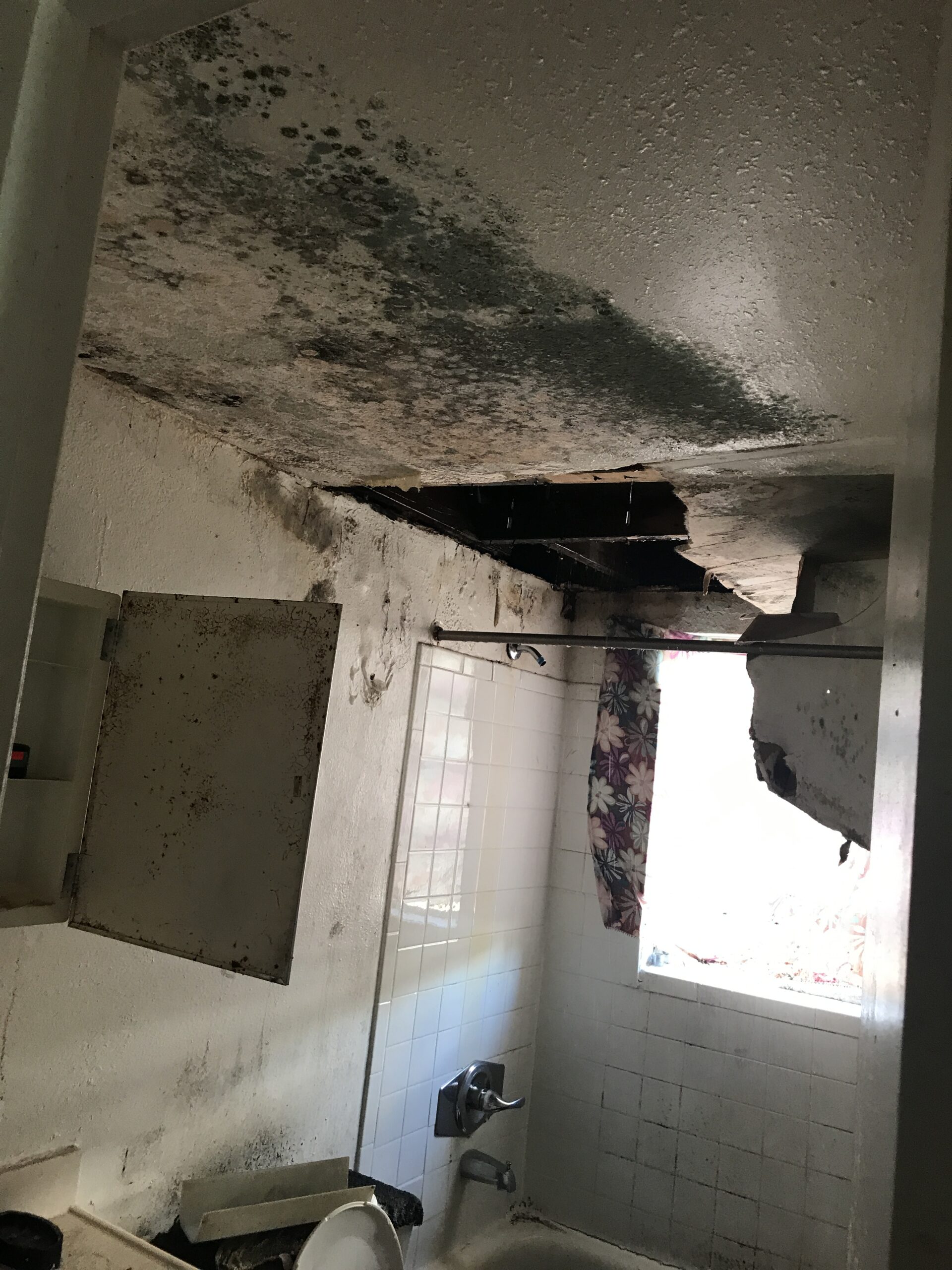 Water and Mold in FL