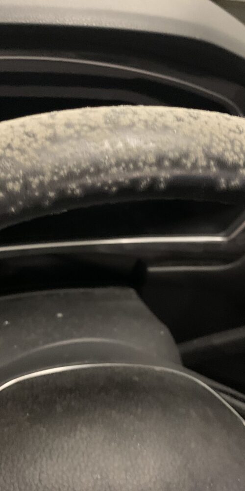 Mold In a Car