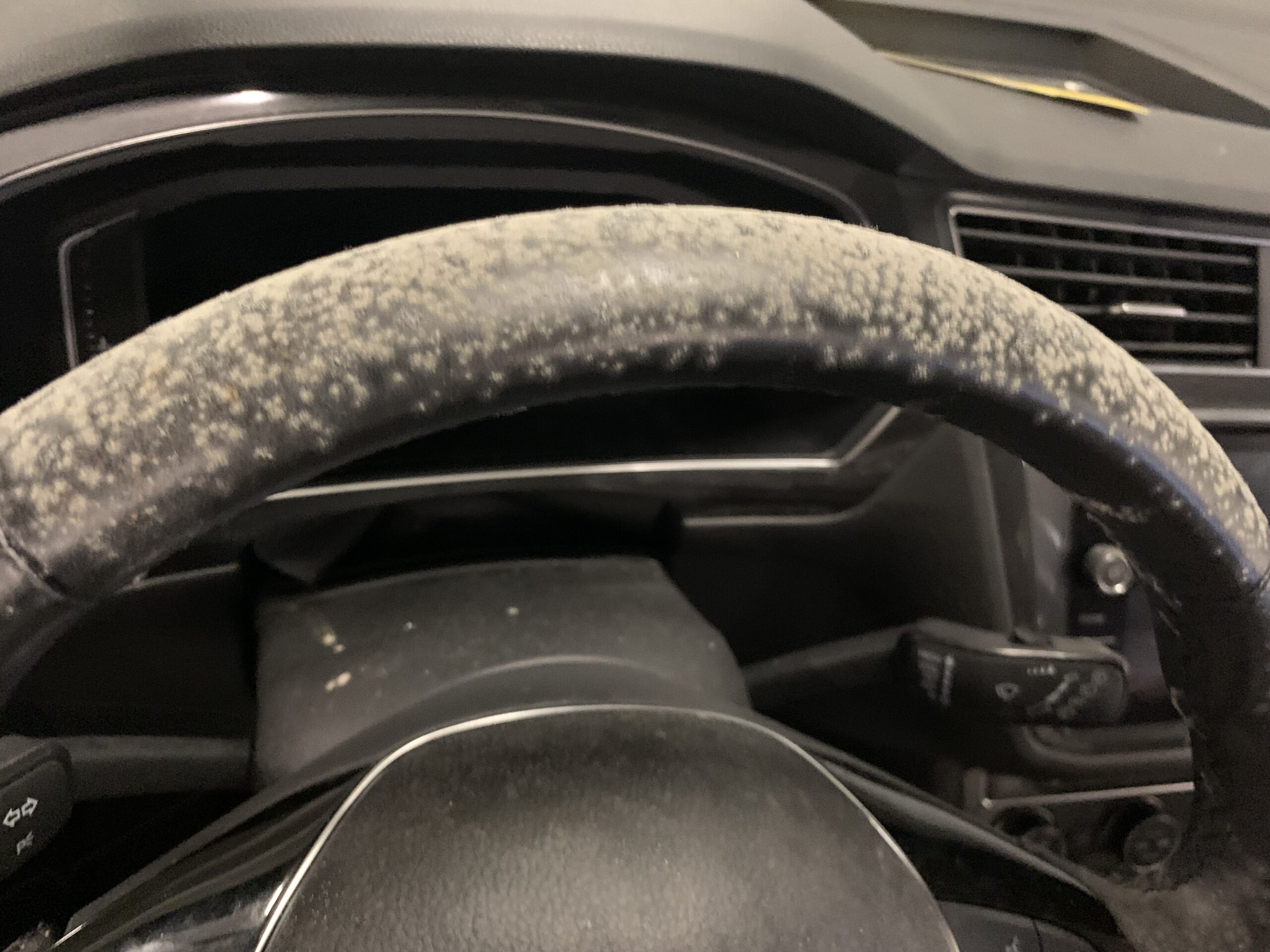Mold In a Car