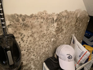 Mold In Closet