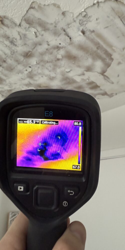 Mold and Water Pinellas County FL