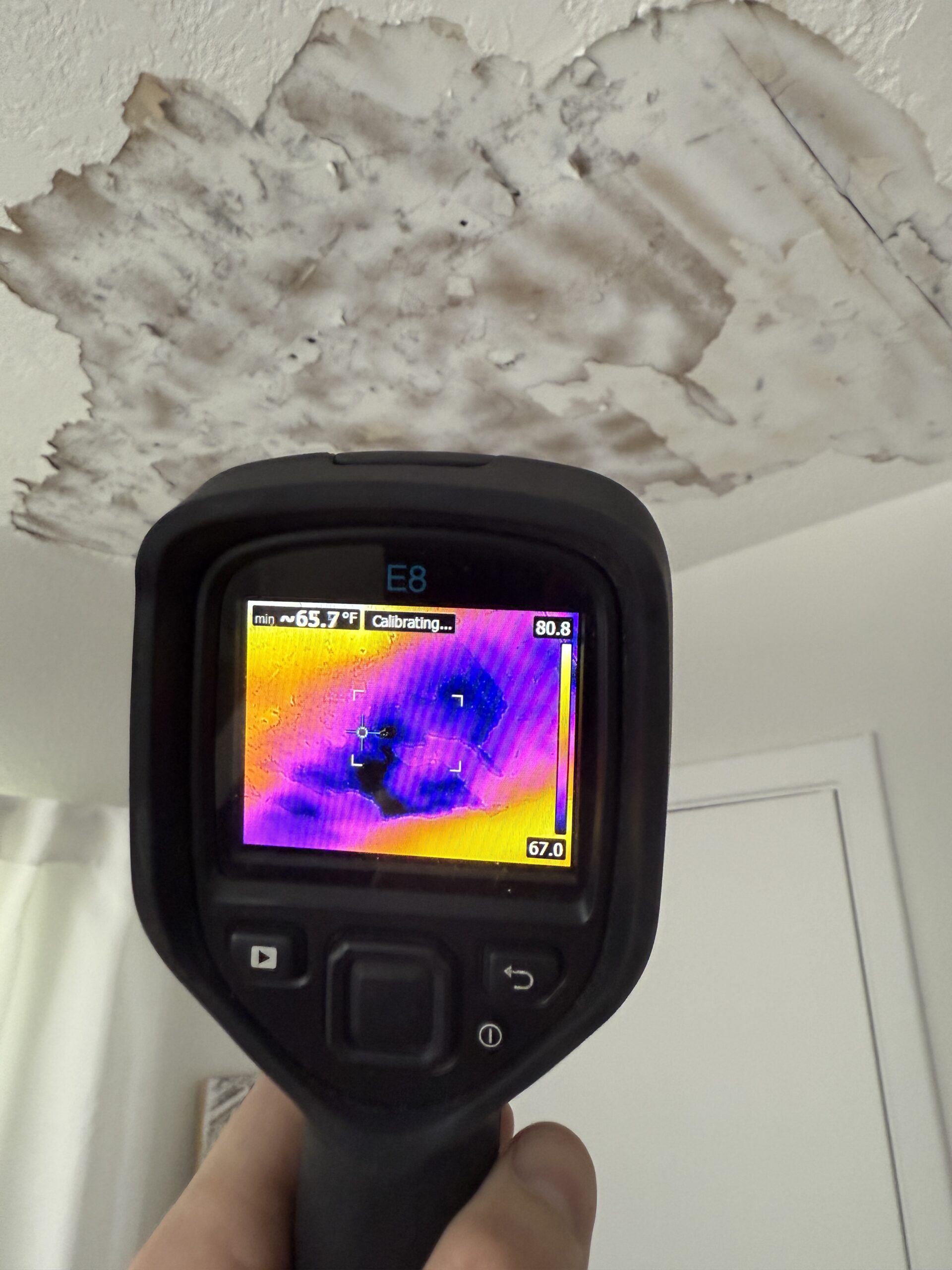 Mold and Water Pinellas County FL