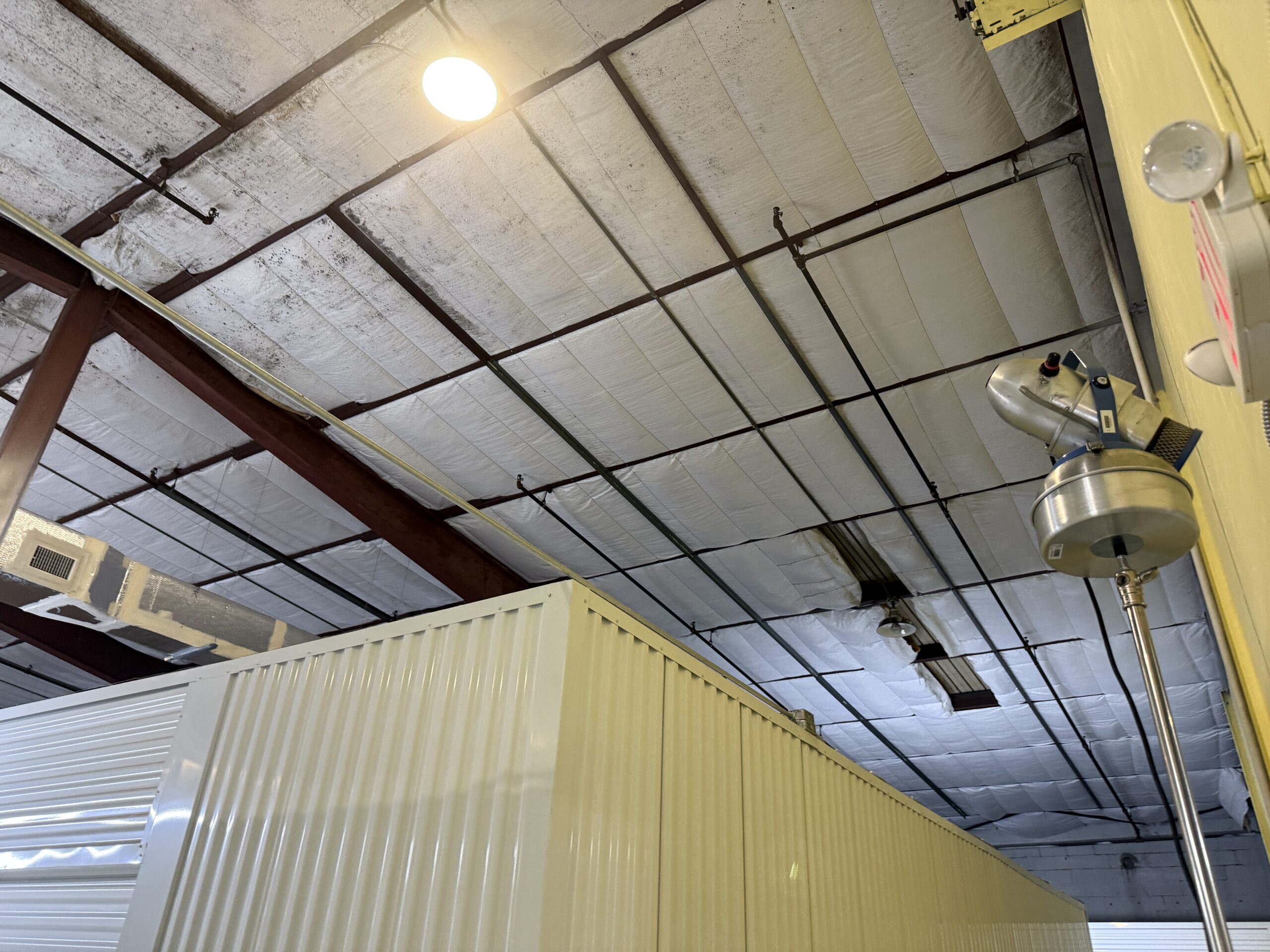 Commercial Mold Remediation