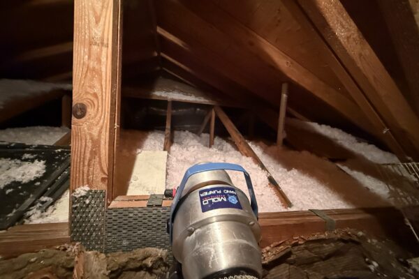Attic Mold Remediation