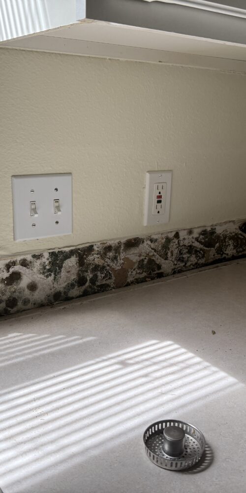 Mold In Kitchen