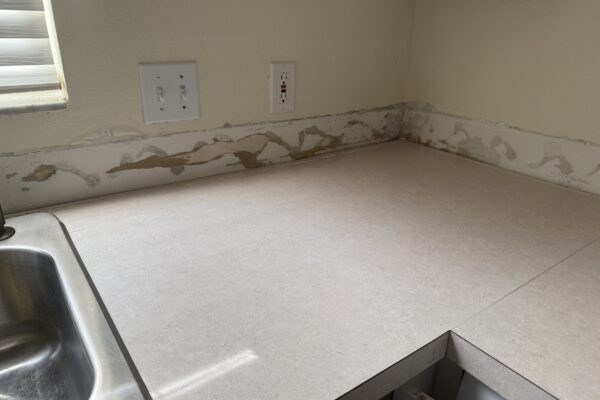 Moldy wall after mold remediation